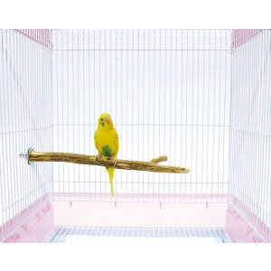 �ޥ륫�� ���ξ��� [MB-15]