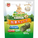 ハヤシ 猫のお遊びススキ草 2本セット ｢ドギーマンハヤシ｣【合計8,800円以上で送料無料(一部地域を除く)】