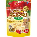 ★訳あり切迫期限 マルカン サクサク! ひとくちウエハース りんご 50個入り ML-285 (賞味期限2024年7月末)