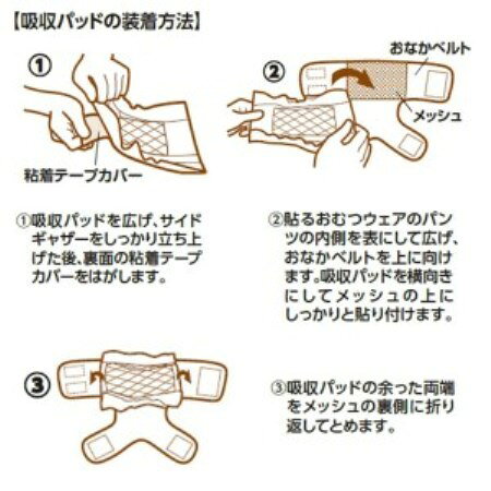 ペット健康便の★訳あり在庫処分特価 マルカン 貼るおむつウェア星のパンツ M DA-124｜アングル3