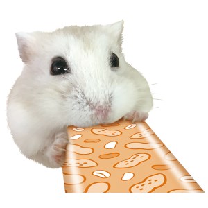 [メール便6個まで]マルカン はむはむぴゅーれ ピーナッツ風味 30g (5g×6本) MR-860