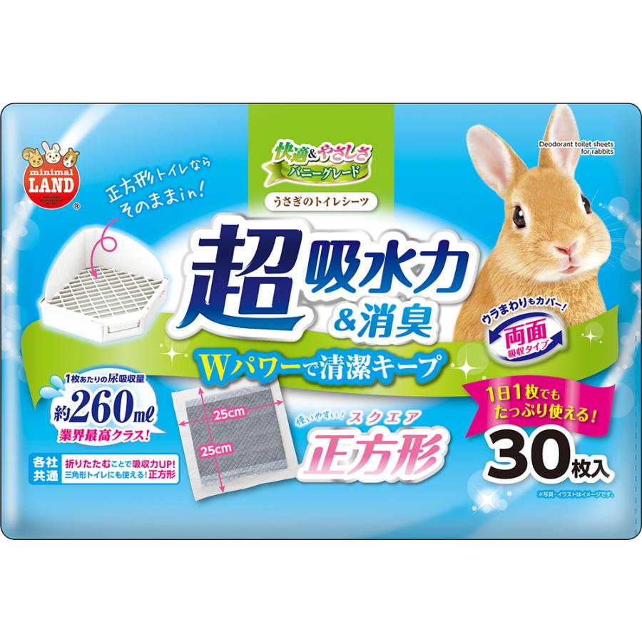 ★訳あり在庫処分特価マルカンうさぎ...