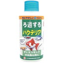 ◇ニチドウ 観賞魚用 水質調整剤 ろ過するバクテリア 100ml