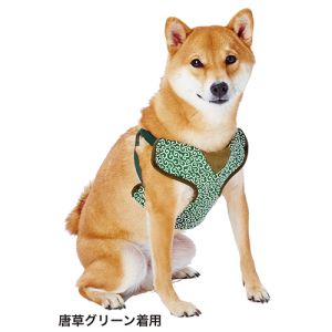 ◇Petio(ペティオ) 犬雅 唐草ベストハーネス M グリーン
