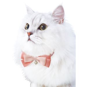 [メール便3個まで]◇Petio(ペティオ) プレシャンテ キャットカラーシュシュ リボン ...