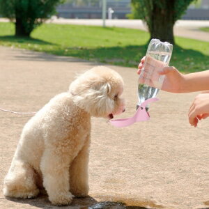 ����å����� ������ϥ�ǥ����� S �����ܥ꡼