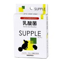 ◇三晃商会 SANKO 乳酸菌 20g