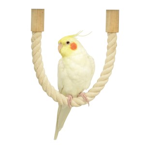 ペット健康便の◇三晃商会 SANKO(サンコー) ロープパーチ 40｜アングル2