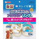 ★訳あり在庫処分特価 サンライズ ゴン太の歯磨き専用ガム ブレスクリア リングタイプ 10個