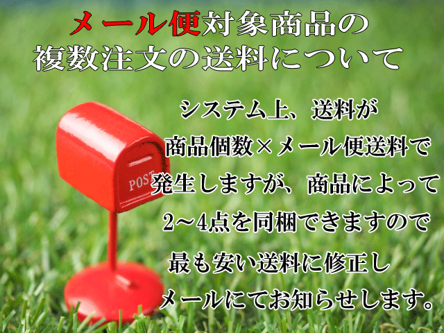 紅花ブレンド 20g×2個【お試しサイズ メール便(ゆうパケット便) 送料190円】【紅花茶】