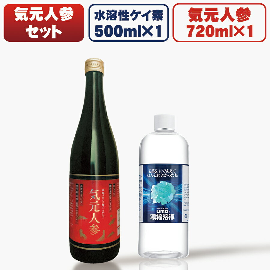 【おまけ・特典沢山！】 ケイ素 500ml ＆気元人参 1本 Bセット【 楽天1位 水溶性 ケイ素水 umo 濃縮溶液 原液 シリカ…