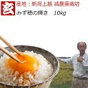 減農薬 玄米 10kg 送料無料 特別栽培認証 新潟産 1等米 みずほの輝き 農薬5割減 産年：令和元年 生産者：辻勉氏