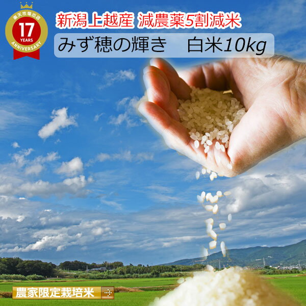 米 10kg 送料無料 農薬5割減 新潟産 みずほの輝き 減農薬 白米 産年：令和6年 生産者：辻勉氏一粒一粒が噛みごたえがありコシヒカリに引けを取らない美味しさ！畦畔の除草剤使用を数年前に止め、手刈りで除草しています。