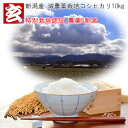 減農薬 玄米 10kg 送料無料 精米指定可新潟県上越産 コシヒカリ 農薬5割減 生産者:辻勉氏 産年:令和6年 噛みごたえがあり冷めても美味しくお弁当におすす...