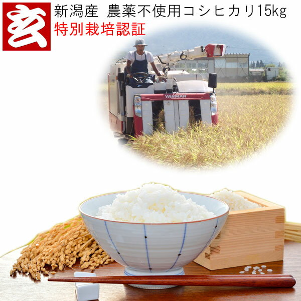 無農薬 玄米 15kg 送料無料 新潟産 無農薬栽培コシヒカリ 産年：令和5年 生産者：辻勉 (農薬不使用・化学肥料不使用)合鴨農法は、田植えから少しして本田内に入れます。無農薬米農法・有機米栽培としての主流になります。