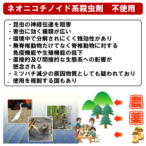 玄米 30kg 送料無料 農薬8割減 減農薬 つや姫 特別栽培認証 産年：令和5年 産地：山形県置賜産 生産者：小林 亮氏 2