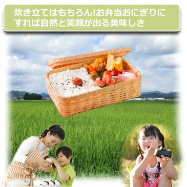 玄米 30kg 送料無料 コシヒカリ 農薬70%削減 30年産 丹波篠山産 減農薬 こしひかり 精米方法選べます
