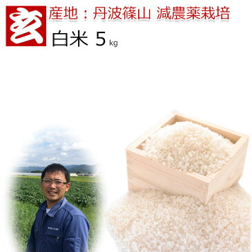 お米 5kg 送料無料 コシヒカリ 減農薬 30年産 丹波篠山産 こしひかり 農薬70%削減 生産者:田淵 真也氏
