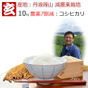 玄米 10kg 送料無料 農薬7割減栽培 1等米 コシヒカリ 丹波 篠山産 減農薬米 産年：令和2年 生産者：田渕真也※精米選べます