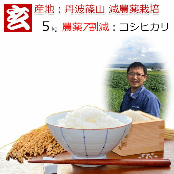 新米 玄米 5kg 送料無料 農薬7割減栽培 1等米 コシヒカリ 丹波 篠山産 減農薬米 産年：令和3年 生産者：田渕真也※精米選べます