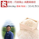 白米 10kg 送料無料 農薬7割減栽培 1等米 コシヒカリ 丹波 篠山産 減農薬米 産年：令和元年 生産者：田渕真也