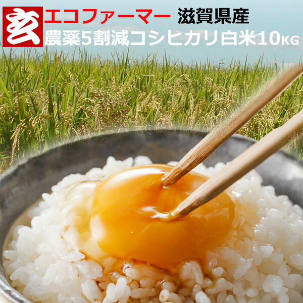 新米 農薬5割減 滋賀県産 コシヒカリ 白米 10kg 送料無料 産年：令和4年産