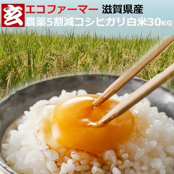 新米 農薬5割減 滋賀県産 コシヒカリ 白米 30kg 送料無料 産年：令和4年産...