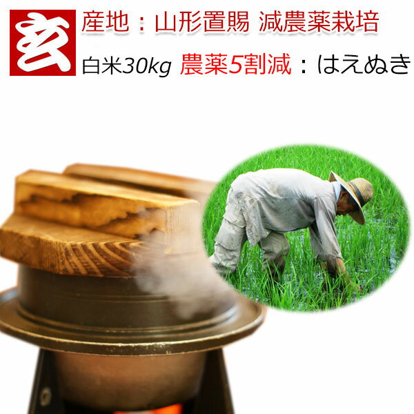 楽天市場】山形県産 はえぬき玄米 30kgの通販 楽天市場】山形県産 はえぬき玄米 30kgの通販