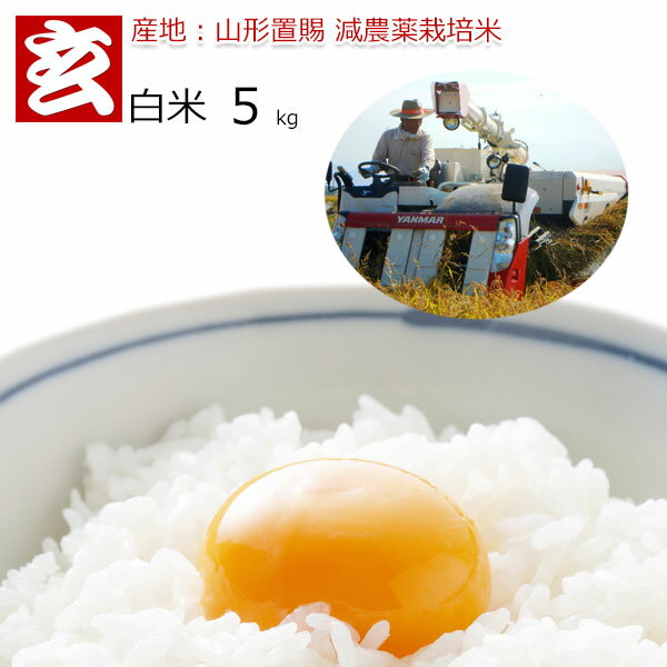 お米 5kg 送料無料 コシヒカリ 減農薬米 30年産 山形県産 生産者：小林 亮氏【農薬散布は田植え5日後に1回限りの散布】