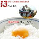 減農薬 白米 10kg 送料無料 農薬8割減・化学肥料不使用 山形県産 1等米 こしひかり 特別栽培認証産年：令和元年 生産農家 小林 亮氏