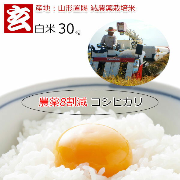 新米 米 30kg 送料無料 コシヒカリ 農薬8割減・化学肥料不使用 山形県産 こしひかり 減農薬白米 特別栽培認証産年：令和6年 生産農家 小林 亮氏お米一筋で40年以上作り上げてきた、小林さんは有機質肥料のみの土で育てたお米