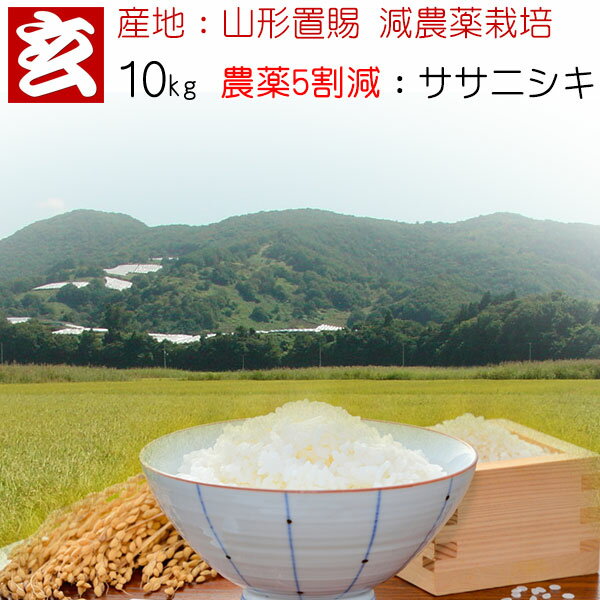   10kg ̵ ǽ 5为  ˥ ǯ6ǯ ϡֻ ԡ μ֥...