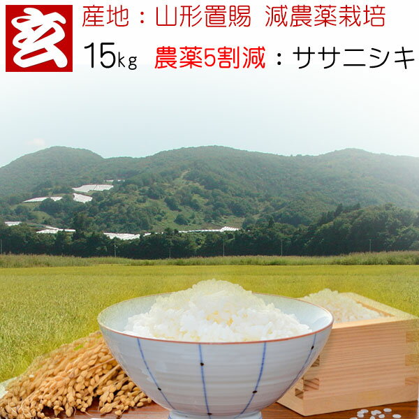   15kg ̵ ǽ 5为  ˥ ǯ6ǯ ϡֻ ԡ μ֥...