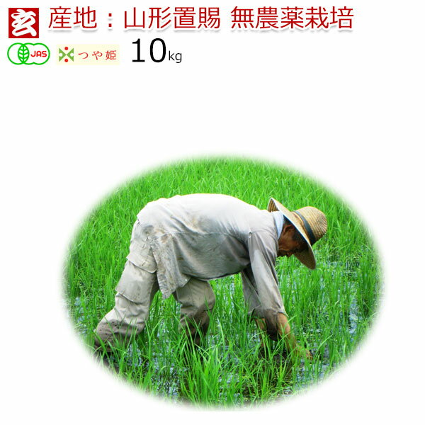楽天市場】新米 無農薬 玄米 10kg 送料無料 JAS有機認証 1等米 無農薬