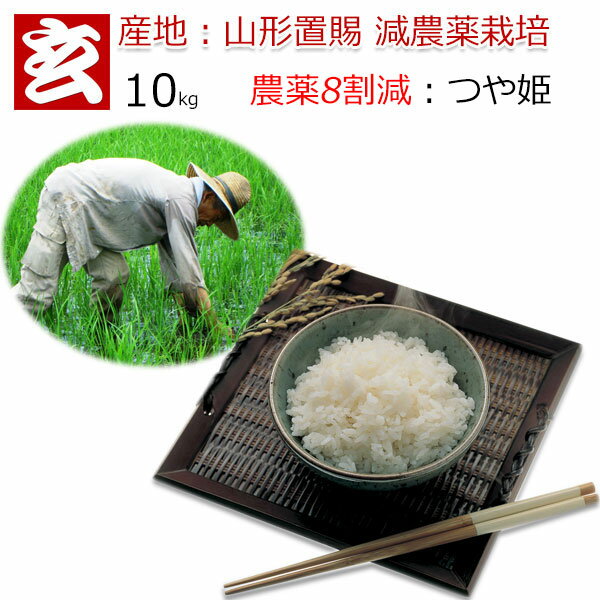 玄米 10kg 送料無料 農薬8割減 減農薬 つや姫 特別栽