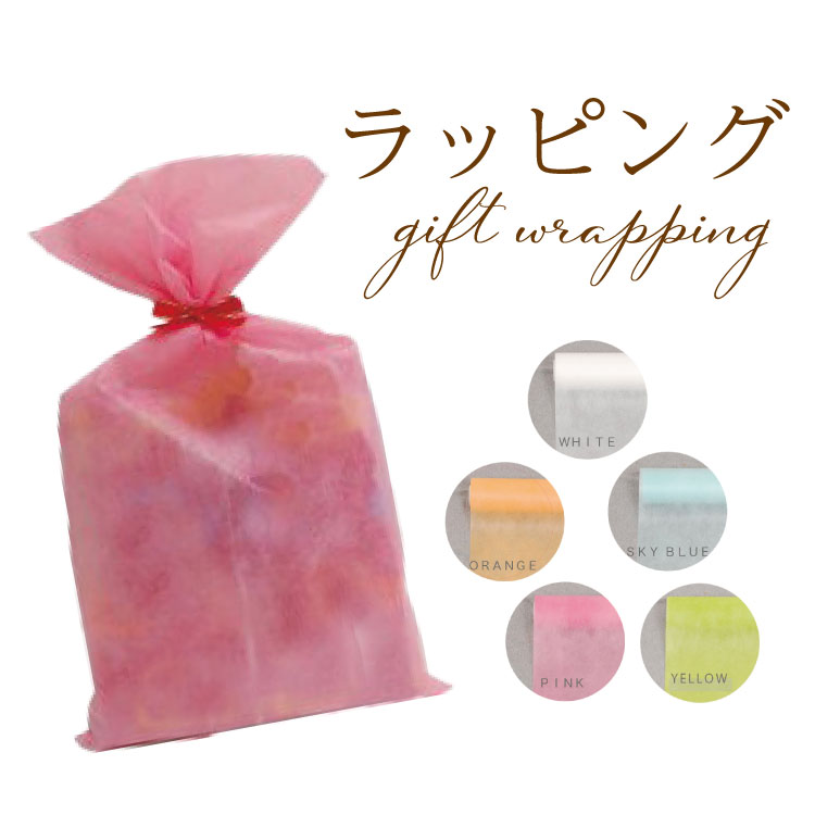 ギフト包装・ラッピング ギフト プレゼント 贈り物 ラッピング 包装 袋 リボン 不織布 父の日 母の日 敬老の日