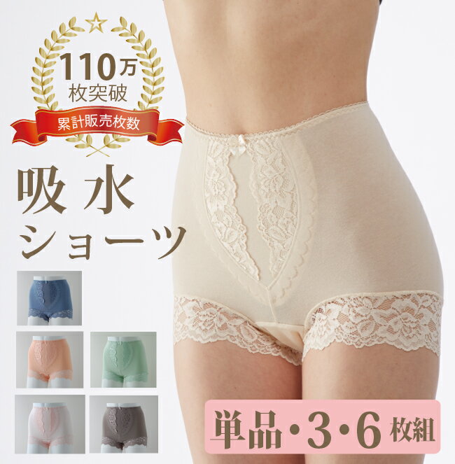 履けばわかる尿漏れパンツ ＼110万枚突破／シルエットすっきりレースショーツ【30cc】 女性 用 おしゃれ 送料無料 M L LL 3L 4L 5L 吸水ショーツ レディース 失禁パンツ 軽失禁用品 吸水 下着 肌着 綿 大きいサイズ ちょい漏れ ときめきラボ ハリコ犬の渡嘉毛織