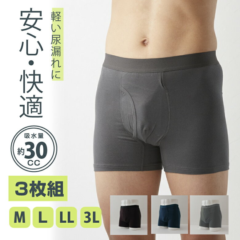 【ブレッシング】失禁ショーツ　中度用40cc（M・L・LL・3Lサイズ） / 10230【定番在庫】即日・翌日配送可【介護用品】尿漏れパンツ/失禁パンツ/吸水層付き下着/軽失禁対策/頻尿/ちょいモレ【通販】