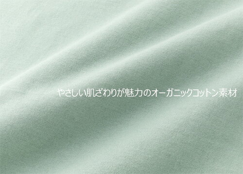 ハイネック カットソー レディース 日本製 七分袖プルオーバー 全4色 婦人服 ミセス シニア 女性 長袖 ボートネック オーガニックコットン 綿素材 オレンジ ブルー パープル グリーン ボトルネック 無地 シニアファッション 50代 60代 70代 80代 春夏　pos　fuji　p24112 kenkoukaiteki-10015398 健康と快適生活 楽天市場店 サンプル画像3
