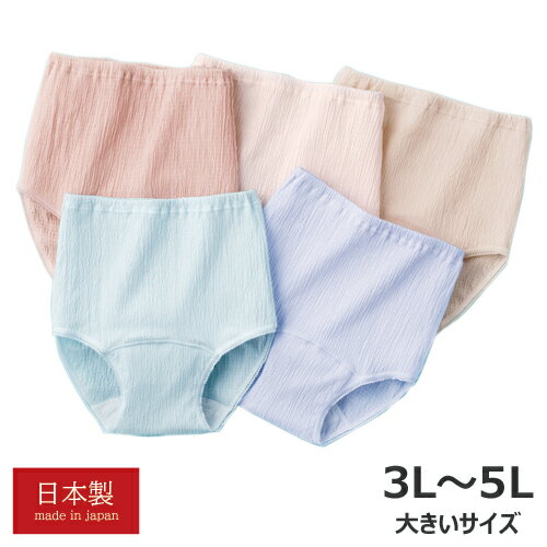 尿漏れ パンツ 軽失禁 対策 ショーツ 大きいサイズ レディース 日本製 心地よくフィットする安心ショーツ 5色組 尿漏れ対策ショーツ 婦人服 ミセス シニア ...