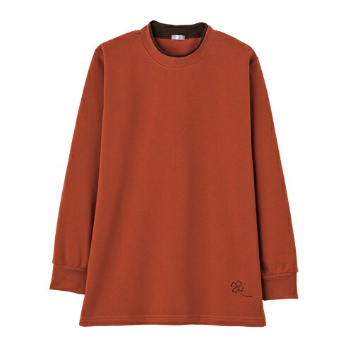 トップス クルーネック トレーナー 無地 長袖 レディース ラクしてホッと裏起毛プルオーバー 全6色 婦人服 ミセス シニア 女性 パープル オレンジ グリーン グレー ワインレッド ブルー シンプル ファッション 50代 60代 70代 80代 母の日 お母さん 秋冬　fuji　p26502 kenkoukaiteki-10016468 健康と快適生活 楽天市場店 サンプル画像2