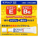 送料無料メール便 【第3類医薬品】モアリップN 8g ・メール便にて発送致します