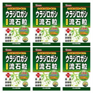 送料無料 ★［まとめ販売］ウラジロガシ流石粒　240粒入り×6個 ●翌日配達「あす楽」対象商品（休業日を除く）●