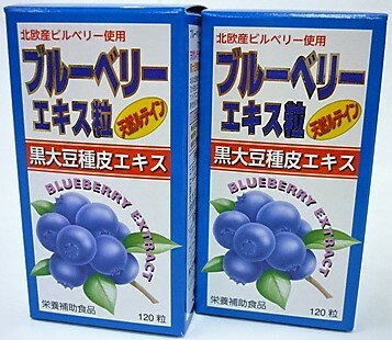 送料無料 ［まとめ販売］ブルーベリーエキス粒　イン　ルテインα　120粒入り×2個 ●翌日配達「あす楽」対象商品●【あす楽_土曜営業】【あす楽_日曜営業】