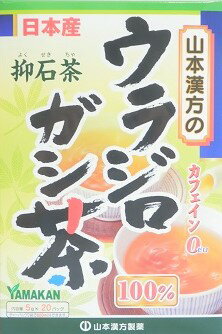 ▲ウラジロガシ茶　100％　5g×20バッグ入り ●翌日配達「あす楽」対象商品（休業日を除く）●