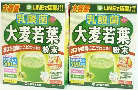 送料無料 ▲［まとめ販売］乳酸菌+大麦若葉粉末　240g(4