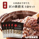 ●健康家族公式●【送料無料】匠の雑穀米 5袋セット（1袋：250g）米類約80％使用だからもっちもちで食べごたえ抜群！アレルゲンフリー※28品目は使用していません。本品製造工場では、大豆を含む製品を生産しています。国産 送料無料 雑穀米 米 雑穀 健康 健康食