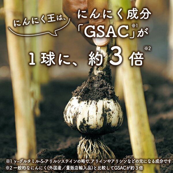 1球に活力3倍
