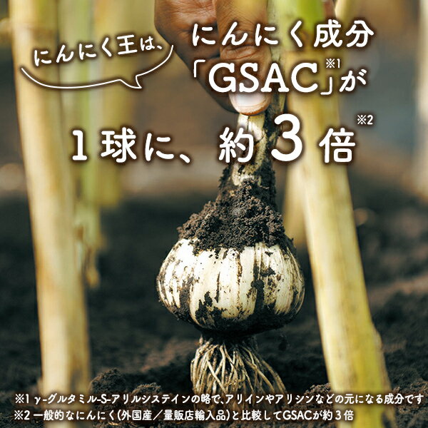にんにく王について