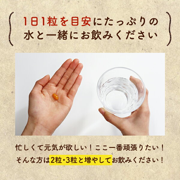 1日2粒目安